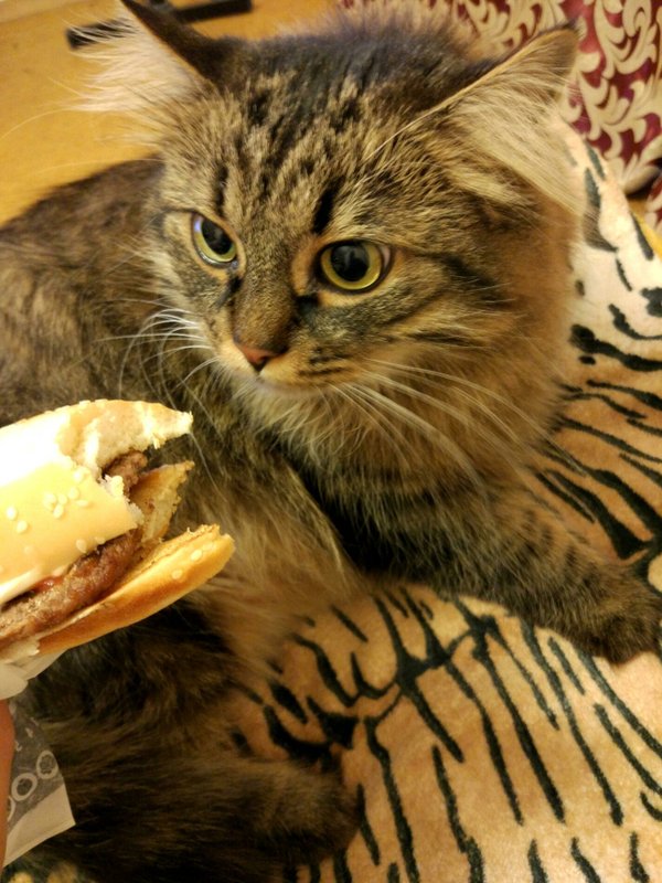 фотография Ресторана быстрого питания Burger King на проспекте Независимости