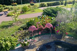 АЗС Белоруснефть, с рейтингом 5 - находится по адресу Витебская область, Полоцкий район, Боровухский сельсовет, в р-не деревни Чернещино 