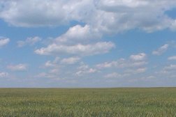 АЗС Белоруснефть, с рейтингом 3 - находится по адресу Брестская обл., Каменецкий р-н, Р-16, 36-й км, 2 