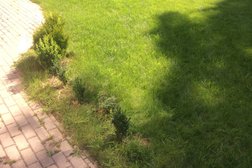 Ветеринарная клиника Вита-Влас, с рейтингом 3.5 - находится по адресу Минская область, Минский район, Боровлянский сельсовет, Боровляны, улица 40 лет Победы, 14А 