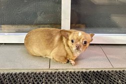 Магазин Белмаркет, с рейтингом 3 - находится по адресу Минск, улица Скрыганова, 14 