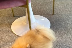 Магазин элитного алкоголя Wine & Spirits, с рейтингом 2.8 - находится по адресу Минск, улица Притыцкого, 87 