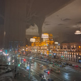 фотография Васильки